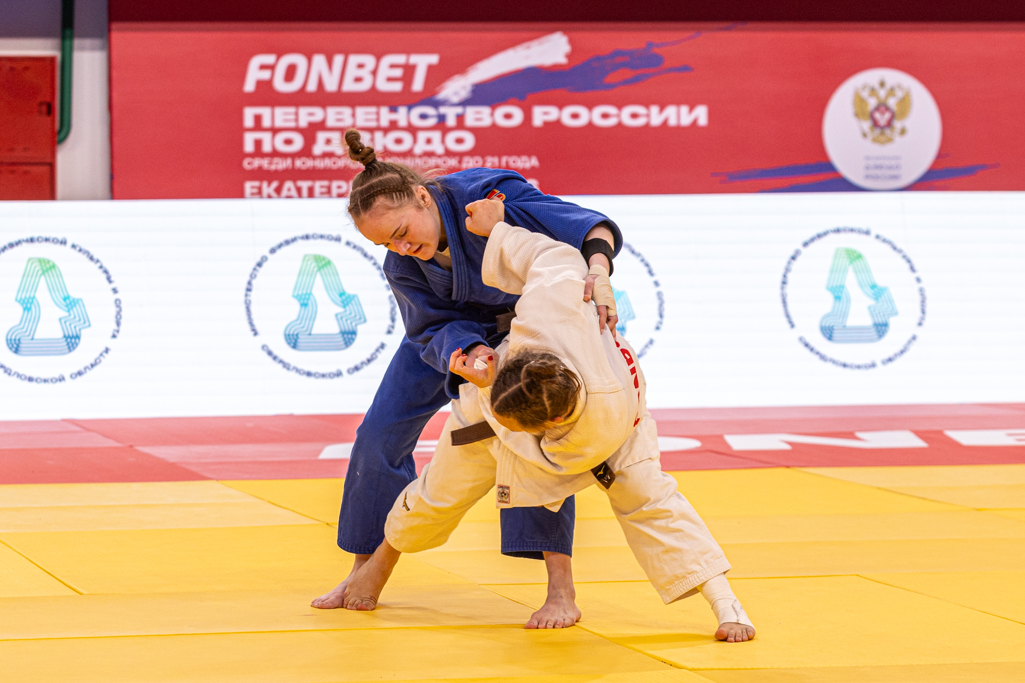 DIMA5401